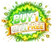 Buy 1 Get 1 Free — second connection free